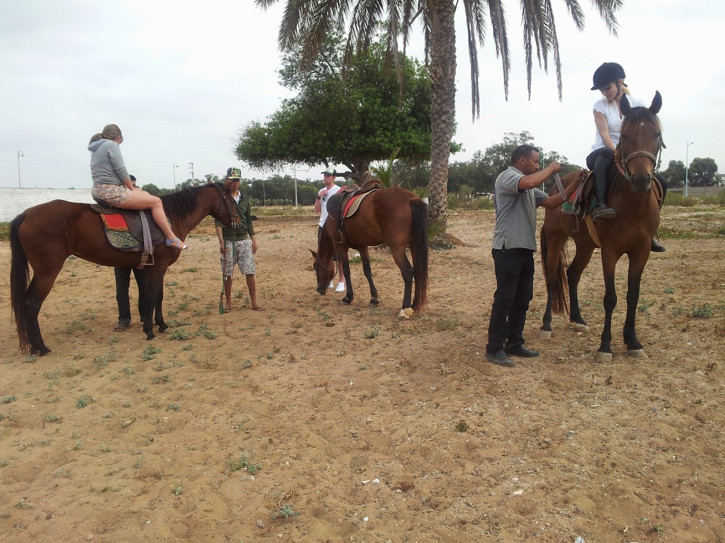 Balades-cheval-Agadir-1506965505-1559214767