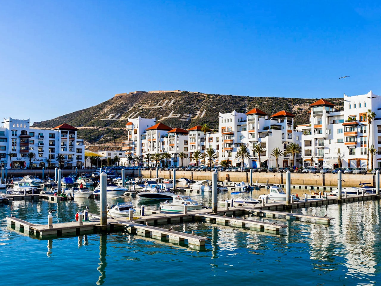 <br />
<b>Warning</b>: Undefined variable $i in <b>/home/bestridefg/www/app/Views/public/show_single.php</b> on line <b>70</b><br />
Meilleur visite de ville d'Agadir à partir des croisières.
