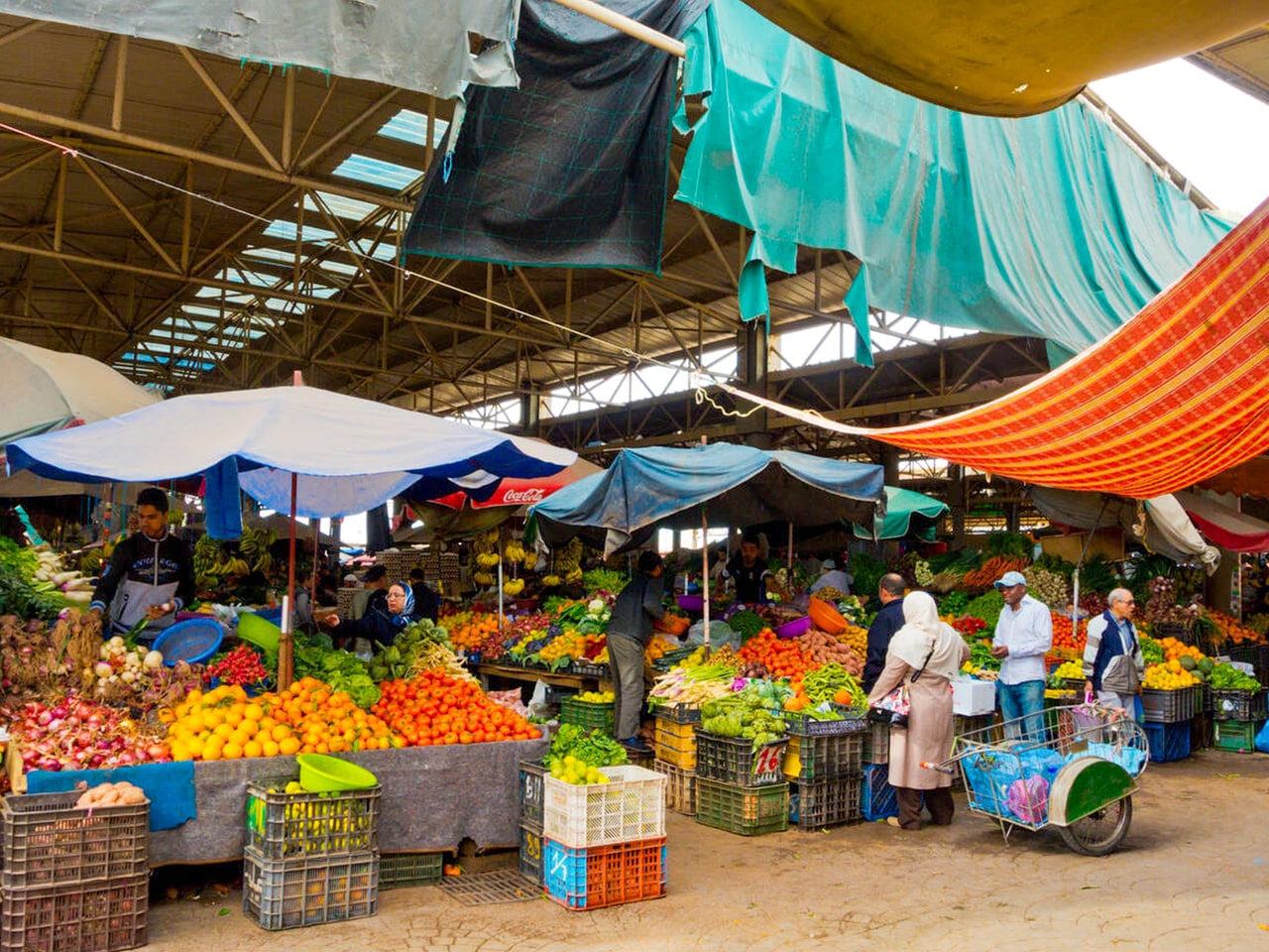 <br />
<b>Warning</b>: Undefined variable $i in <b>/home/bestridefg/www/app/Views/public/show_single.php</b> on line <b>70</b><br />
Meilleur visite de ville d'Agadir à partir des croisières.
