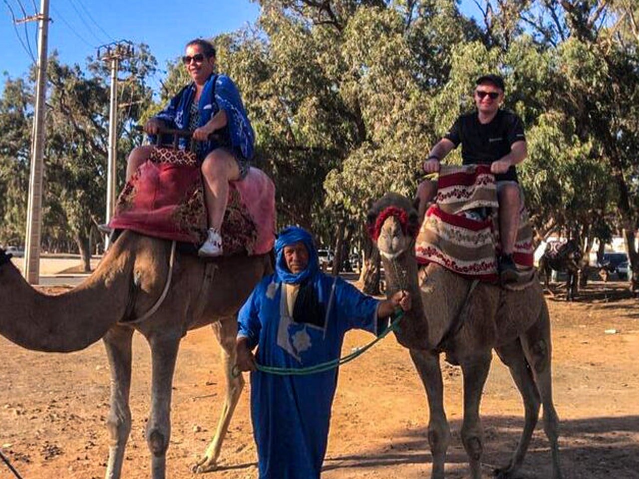 <br />
<b>Warning</b>: Undefined variable $i in <b>/home/bestridefg/www/app/Views/public/show_single.php</b> on line <b>70</b><br />
Meilleur visite de ville d'Agadir à partir des croisières.