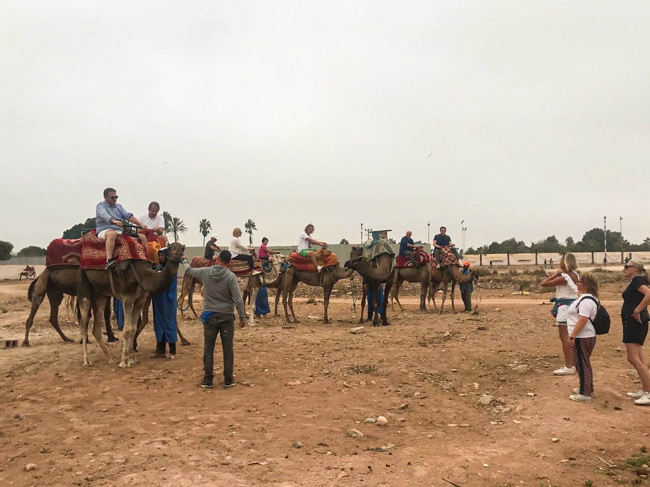 <br />
<b>Warning</b>: Undefined variable $i in <b>/home/bestridefg/www/app/Views/public/show_single.php</b> on line <b>70</b><br />
Meilleur visite de ville d'Agadir à partir des croisières.