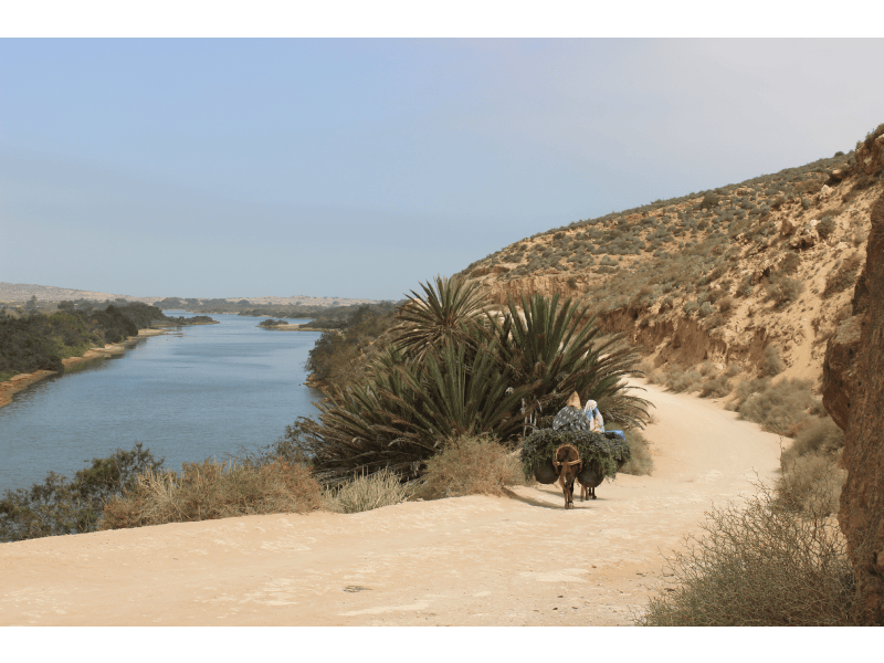Excursion Agadir au Petit Desert - Le paradis du sud (1 jour)