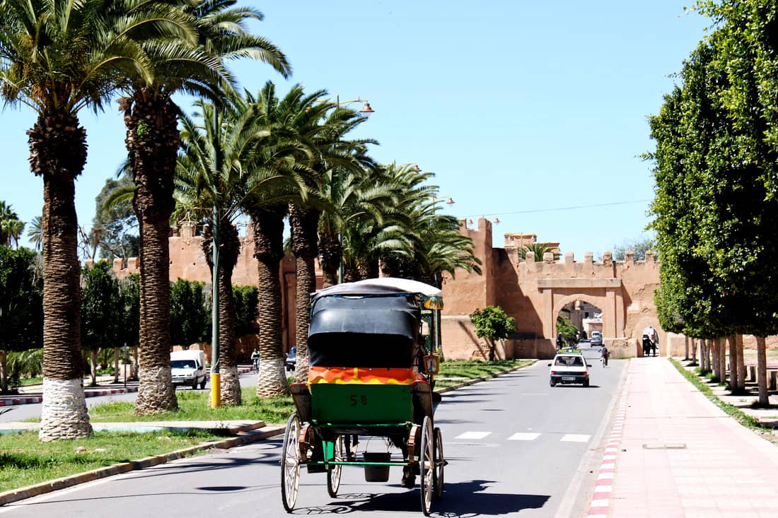 Excursion Agadir à Taroudant et Tiout (Ramparts & Oasis-1 jour)